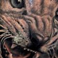 tatuaje Brazo Realista Tigre por Nadelwerk