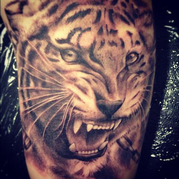 Realistic Tiger Tattoo by Pistolero Tattoo