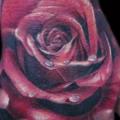 Realistic Hand Rose tattoo by Carl Grace