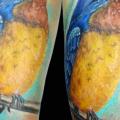 tatuaje Brazo Realista Pájaro por Insight Studios