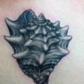 Rücken Schale tattoo von Bird Tattoo