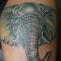 tatuaggio Realistici Polpaccio Elefante di Bird Tattoo