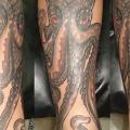 Bein Oktopus tattoo von Bird Tattoo