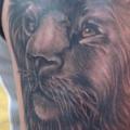 Schulter Realistische Löwen tattoo von Bird Tattoo
