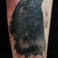 Arm Realistic Crow tattoo by Matt Hunt