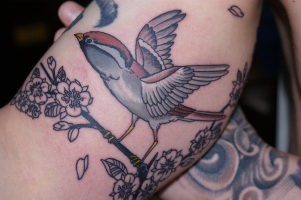 Tatuaje Brazo Realista Pájaro por Babakhin