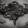 Schlangen Dotwork Brust tattoo von Amanita Tattoo