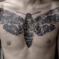 Chest Dotwork Moth tattoo by Amanita Tattoo
