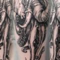 tatuaggio Braccio Elefante Dotwork Polpo di Style Tattoo