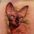 Realistische Rücken Katzen tattoo von Style Tattoo