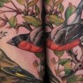 Arm Realistic Bird tattoo by XK Tattoo