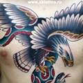 tatuaje Serpiente Pecho Águila por XK Tattoo