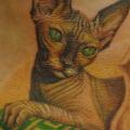 tatuaje Realista Espalda Gato por Lacute Tattoo