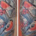 Schulter Realistische Vogel tattoo von Lacute Tattoo