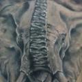 Shoulder Realistic Elephant tattoo by West End Studio