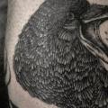 Arm Dotwork Crow tattoo by Baraka Tattoo