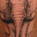 tatuaggio Polpaccio Elefante Dotwork di Baraka Tattoo