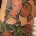 tatuaje Hombro Realista Pájaro Fruta por Saved Tattoo