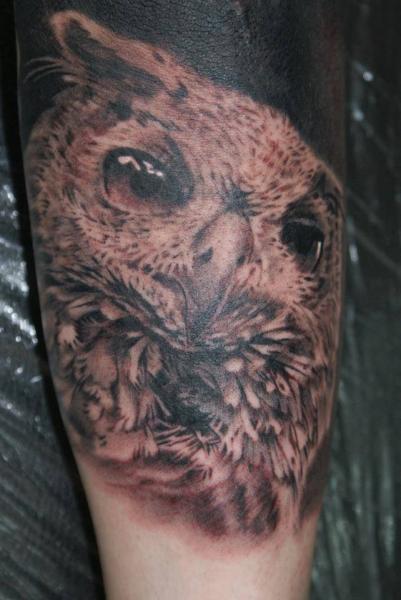 Tatouage Bras Réaliste Hibou par Tattoos by Mini