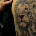 tatuaje Hombro León Hacha Pala por Colin Jones