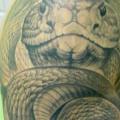 tatuaje Hombro Realista Serpiente por Ramas Tattoo