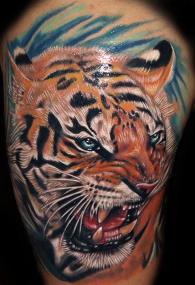 Realistic Tiger Tattoo by Tattoo by Roman