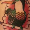 Old School Toucan tattoo by Spilled Ink Tattoo
