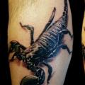 tatuaggio Realistici Polpaccio Scorpione 3d di Tattoo Rascal