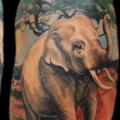 tatuaje Hombro Realista Elefante Árbol por Tattoo Rascal