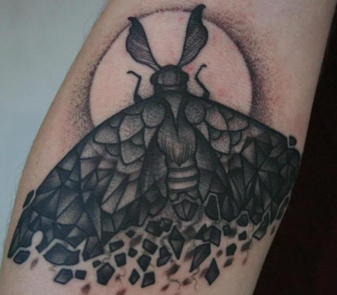 Tatuaje Brazo Dotwork Polilla por Mitch Allenden