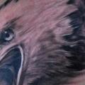 tatuaje Realista Pecho Águila por Ron Russo