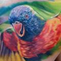 Realistic Chest Parrot tattoo by Ron Russo