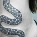 tatuaggio Serpente Fianco Dotwork di Ivan Hack