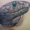 Realistic Snake Chest 3d tattoo by Victor Chil