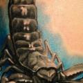Schulter Realistische Skorpion tattoo von Radical Ink