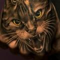 Realistic Hand Cat tattoo by Victor Portugal