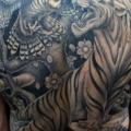 Japanische Rücken Eulen Tiger Po tattoo von Salt Water Tattoo