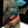 Arm Realistic Bird tattoo by Kronik Tattoo