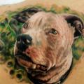 Realistische Hund Rücken tattoo von Kronik Tattoo