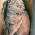 Realistic Cat Thigh tattoo by Kronik Tattoo