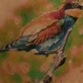 tatuaggio Realistici Petto Uccello di Qrucz Tattoo