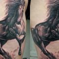 Realistic Horse tattoo by Sile Sanda