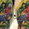 Schulter Realistische Papagei tattoo von Sile Sanda