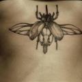 Belly Dotwork Moth tattoo by The Lace Makers Sweat Shop