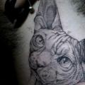 Neck Cat Dotwork tattoo by The Lace Makers Sweat Shop