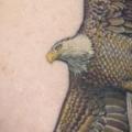 Arm Realistic Eagle tattoo by Anil Gupta
