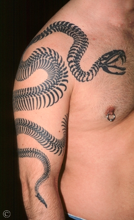 Tatuaggio Spalla Serpente Tribali di Anil Gupta