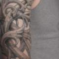 Fantasy 3d Sleeve tattoo by Anil Gupta