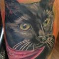 tatuaje Realista Gato por Bearcat Tattoo