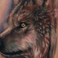 Arm Realistic Wolf tattoo by Rich Pineda Tattoo